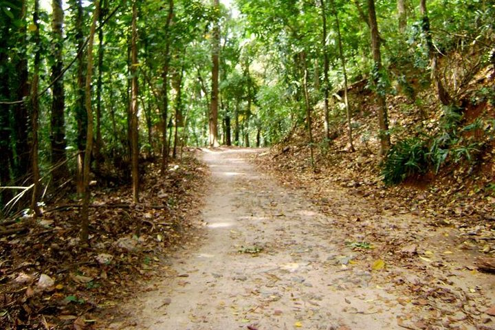 Udawatta Kele Sanctuary